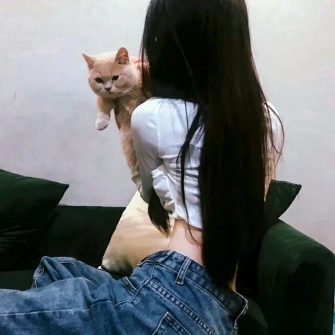 独行月球